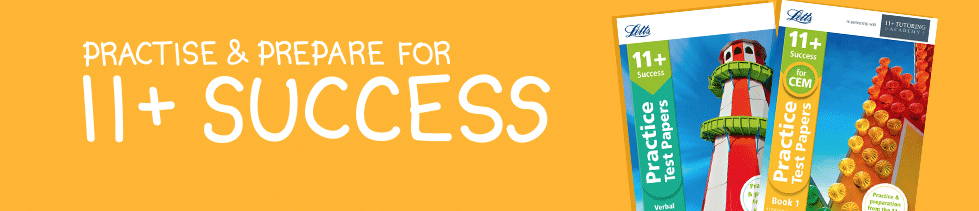 11 Plus Success |