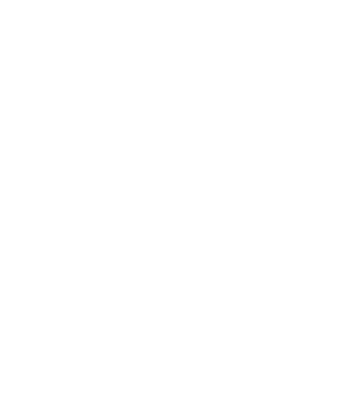 Face File